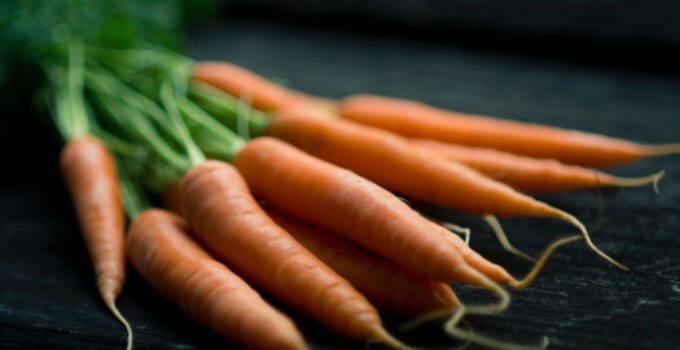 carottes