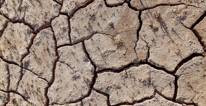 consequences rechauffement climatique